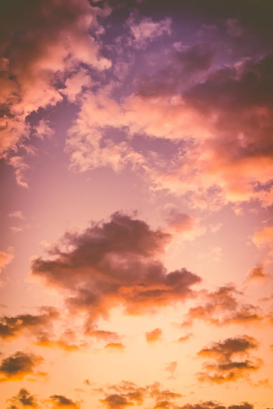 dewang-gupta-ESEnXckWlLY-unsplash